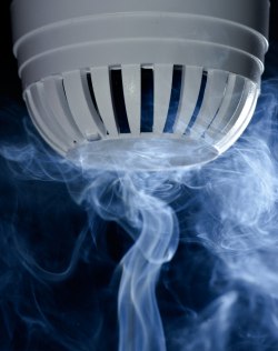 Fire Alarm with Smoke